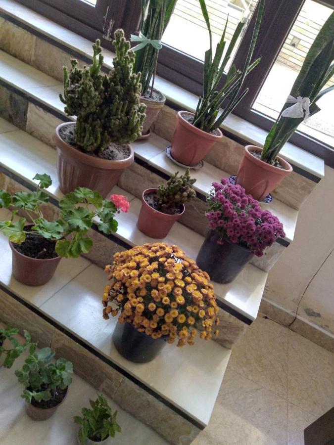 בוקורו Uzbegim Family Guest House מראה חיצוני תמונה